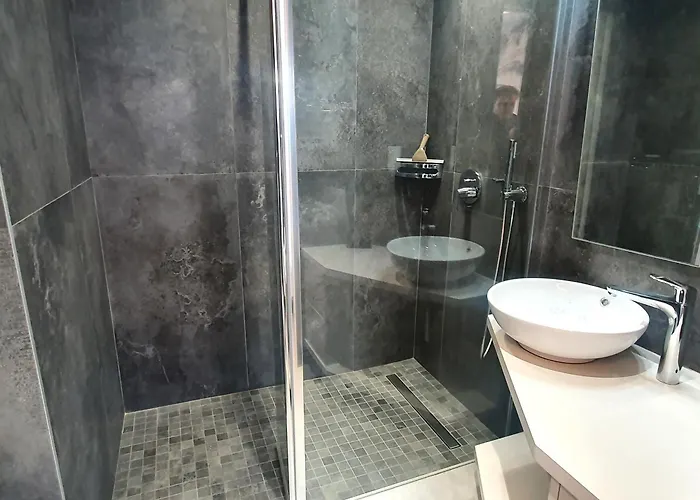 3 Pieces Climatise Avec Terrasse, Centre-ville, Garage A - Fr-1-780-27